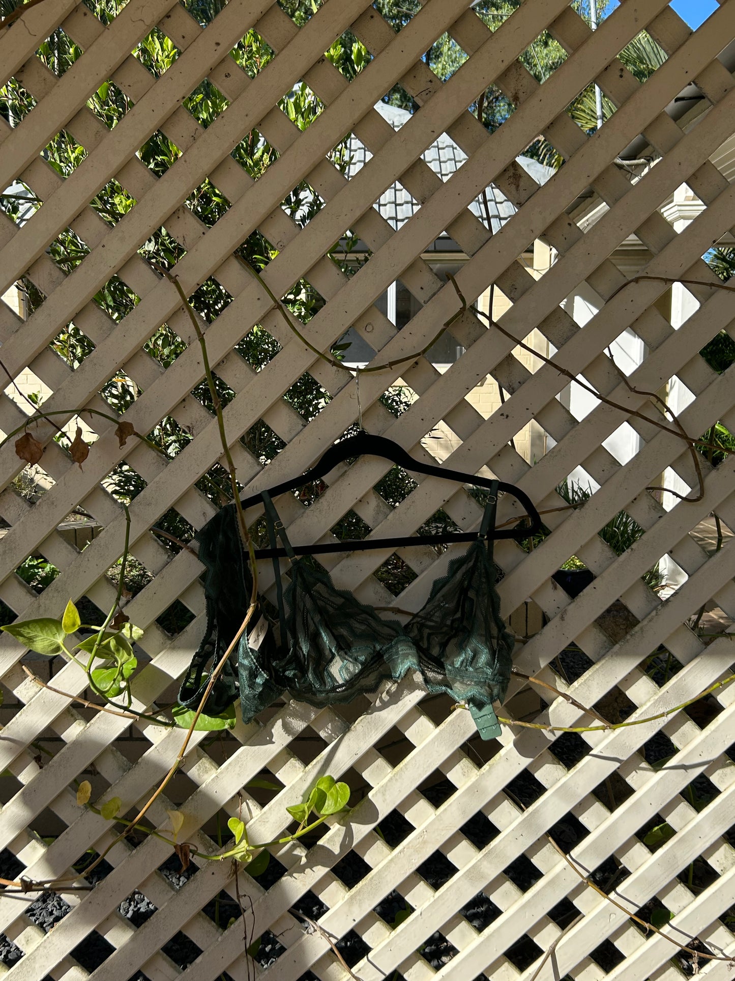 The Verde Bralette