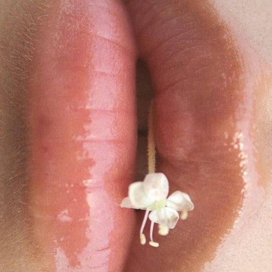 Glossed lips holding a small white flower