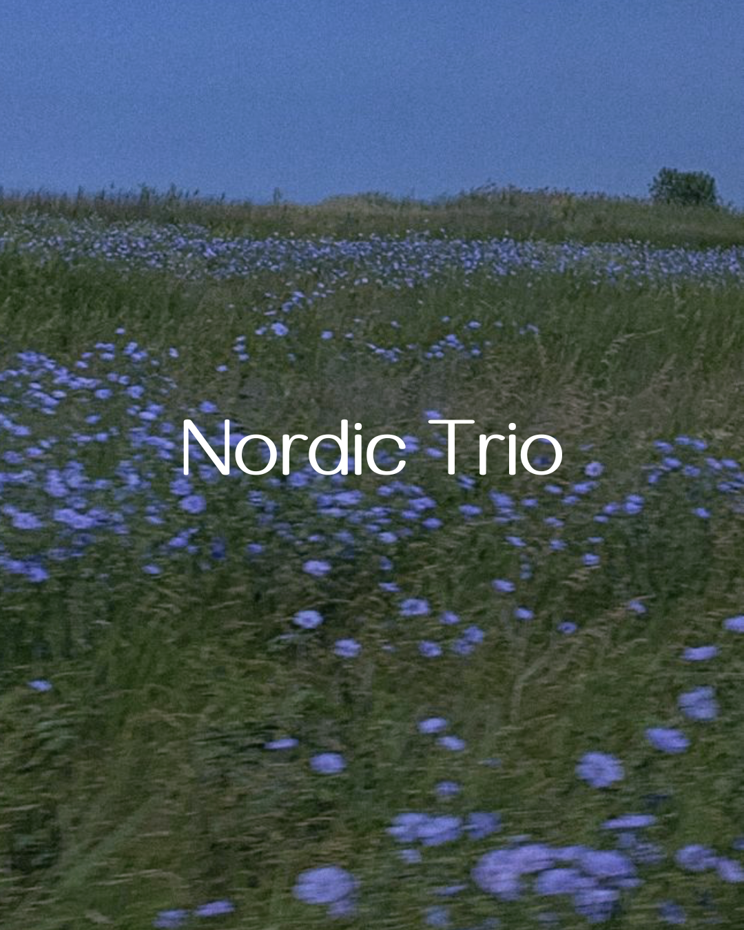 Nordic Trio